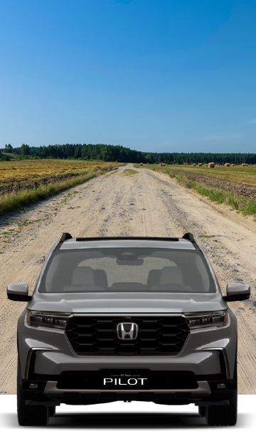 Renta de autos - Renting total Autos Honda Renta de autos - Renting total Autos Honda