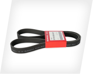 Correa Accesorios